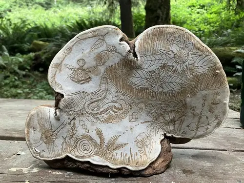 Artist's Bracket (Ganoderma applanatum), photo